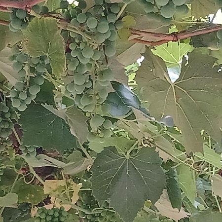 Vardzia Сhachkari 외부 사진